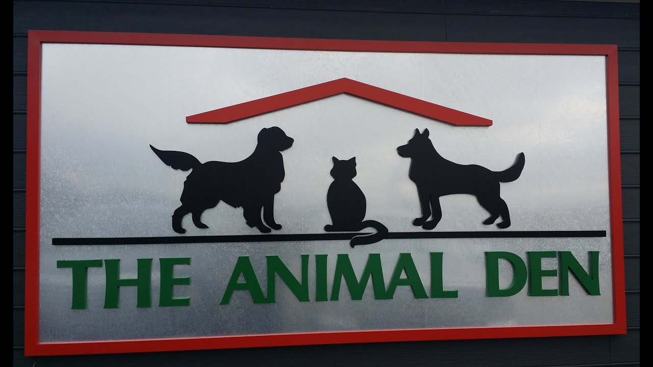 The Animal Den pet services Indianapolis virtual tour