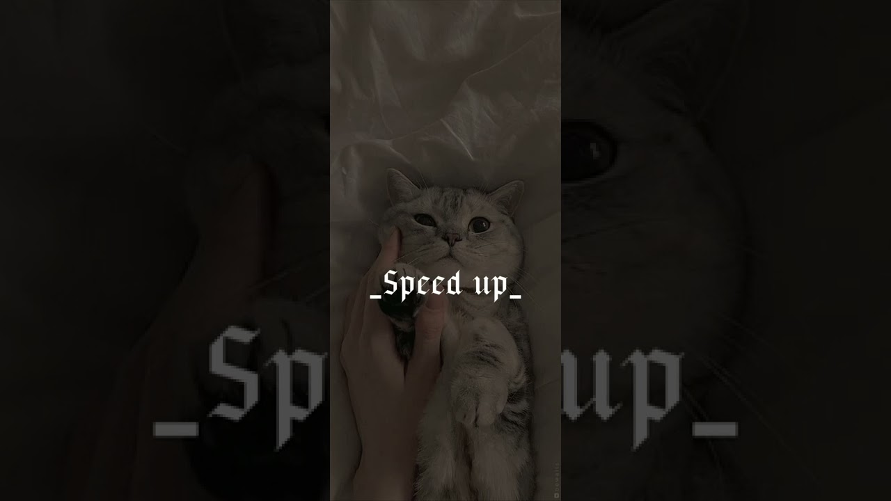 Земфира-,,Прогулка"(speed up)