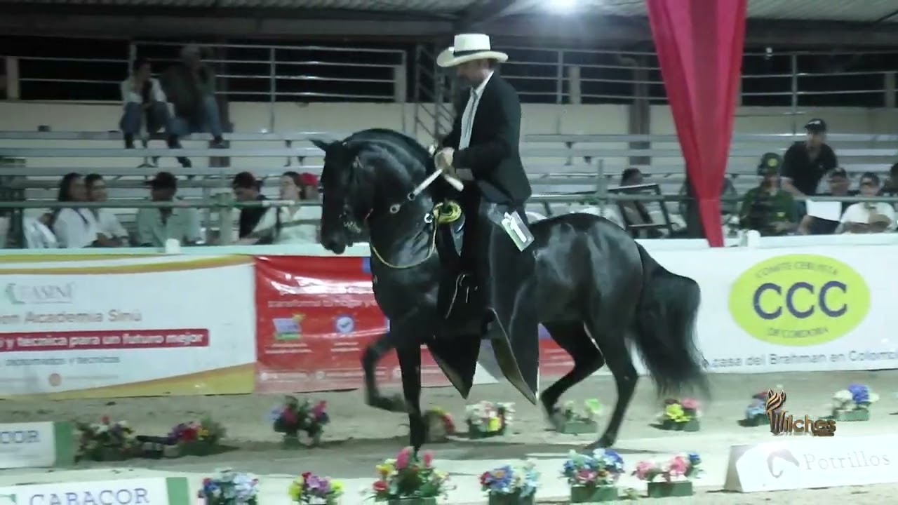 IMPERIAL DE SANTA INES, GRAN CAMPEÓN TROTE Y GALOPE  LOS POTRILLOS MONTERÍA GRADO B 2026