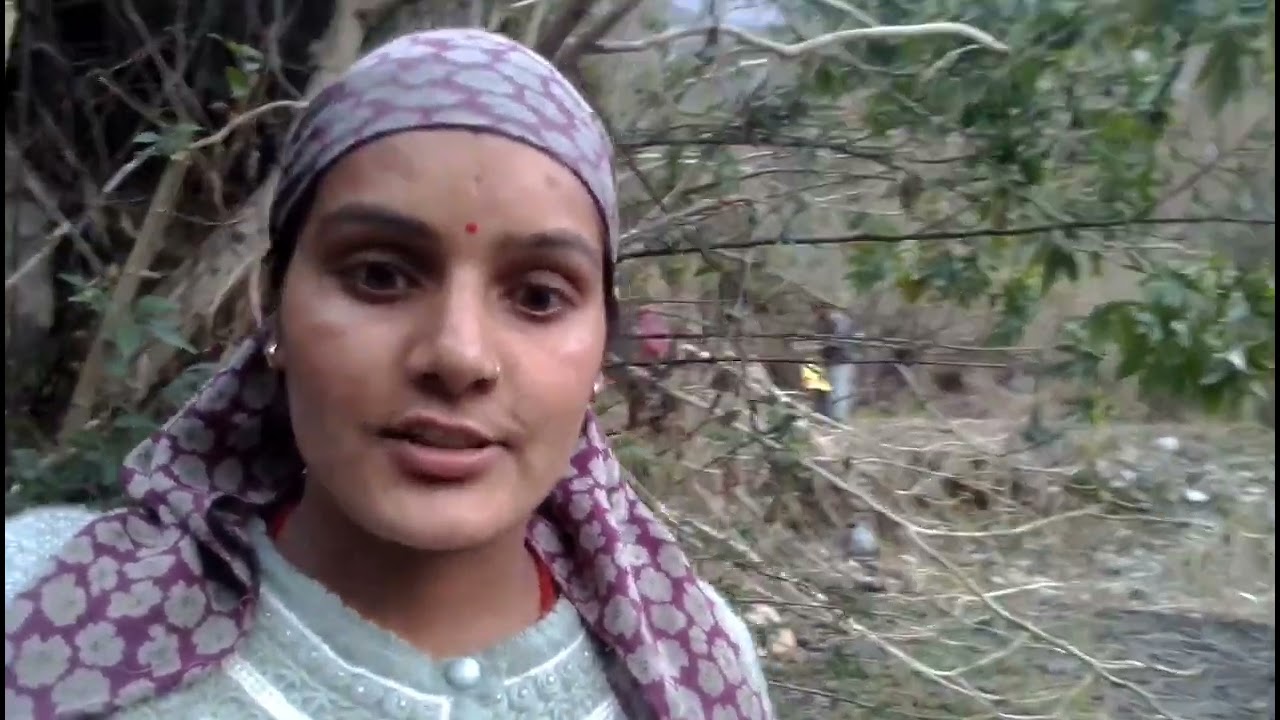 #किचन गार्डन# में लगाएंगे पेड़## Asha pahadi vlogs 