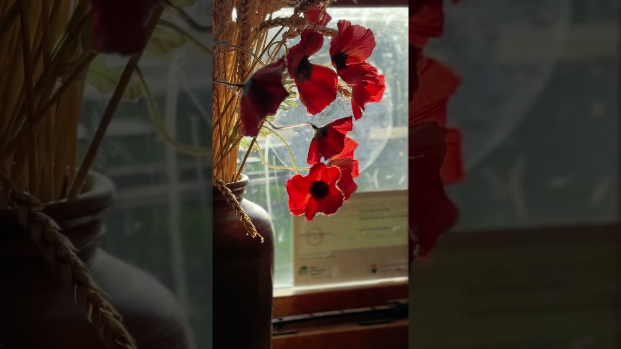 Handepay Helping Your Business Grow - Walk Mill 