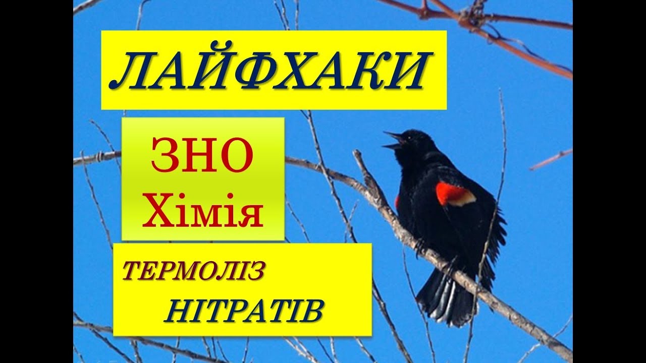 ЛАЙФХАКИ ДЛЯ ЗНО ХІМІЯ | ТЕРМОЛІЗ НІТРАТІВ | РЯД НАПРУГ МЕТАЛІВ