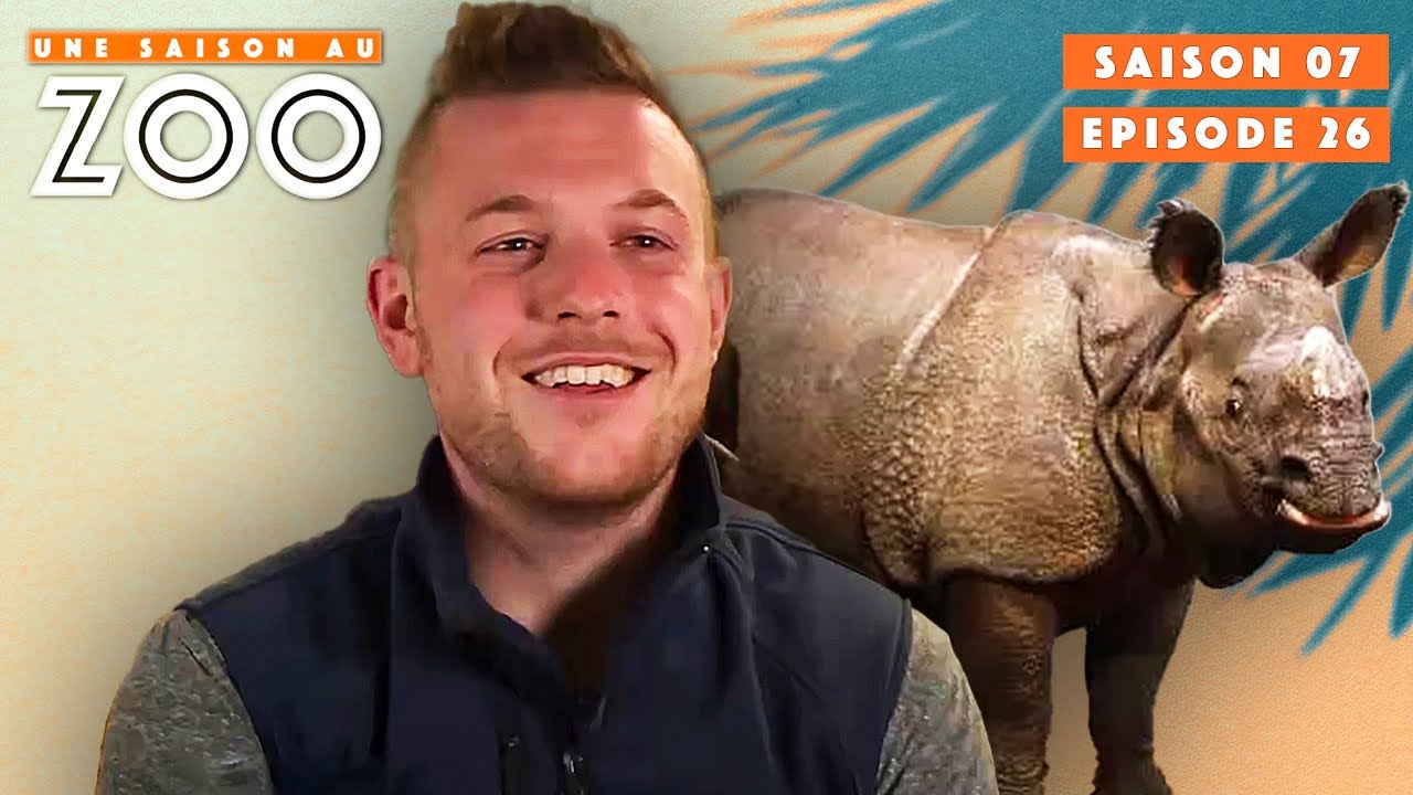 Le Zoo accueille son tout Premier Rhinocéros ! | S07EP26 | Émission Intégrale | Une Saison Au Zoo