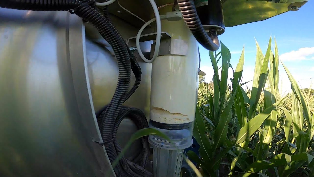 Company Targets Large-Scale Pollen Preservation