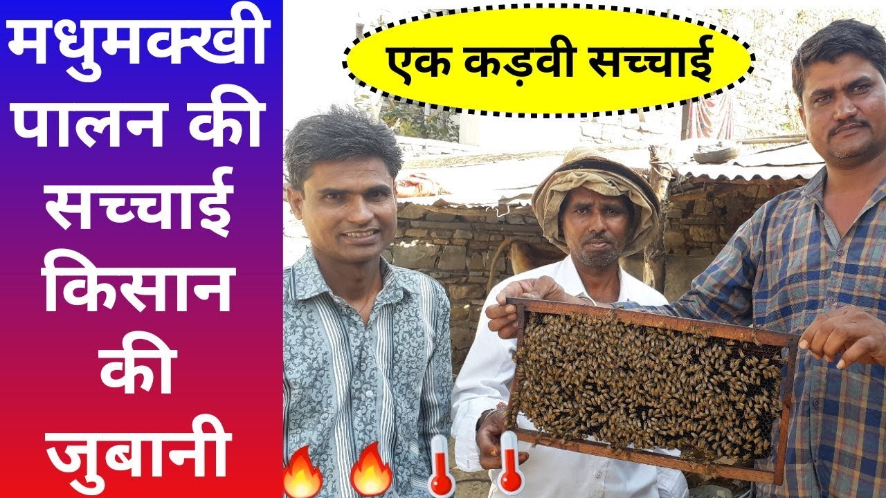 मधुमक्खी पालन कमाई की वास्तविक सच्चाई, Beekeeping farming Earning Expose - Agritech Guruji