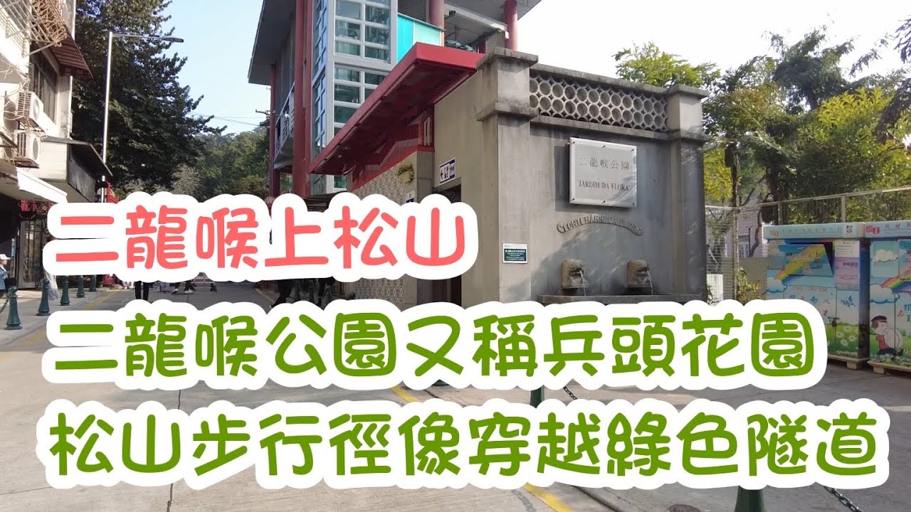 【二龍喉上松山】20220226攝｜澳門二龍喉公園又稱兵頭花園｜松山步行徑穿過綠色隧道｜Jardim da Flora｜Circuito de Manutencao da Colina