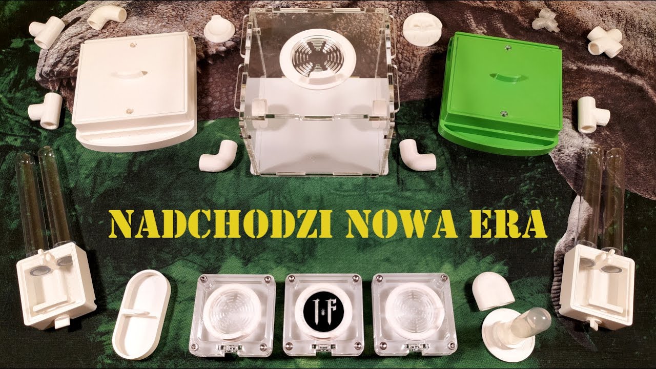#12 Mrówki | Nowe gniazda i areny
