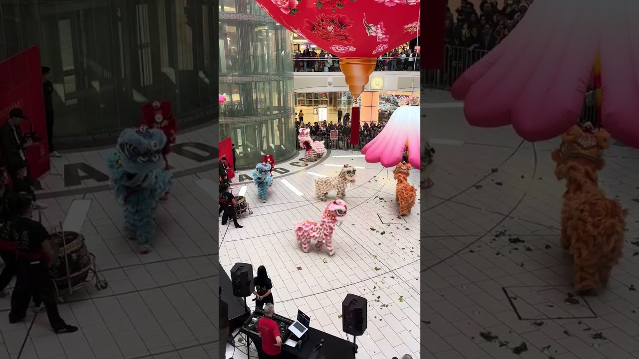 Lion Dance at Metrotown - Chinese New Year 2026