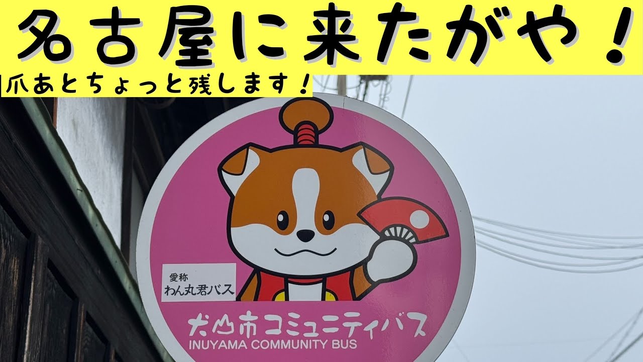 ライブ  「近鉄電車をお見送り」【名古屋駅】