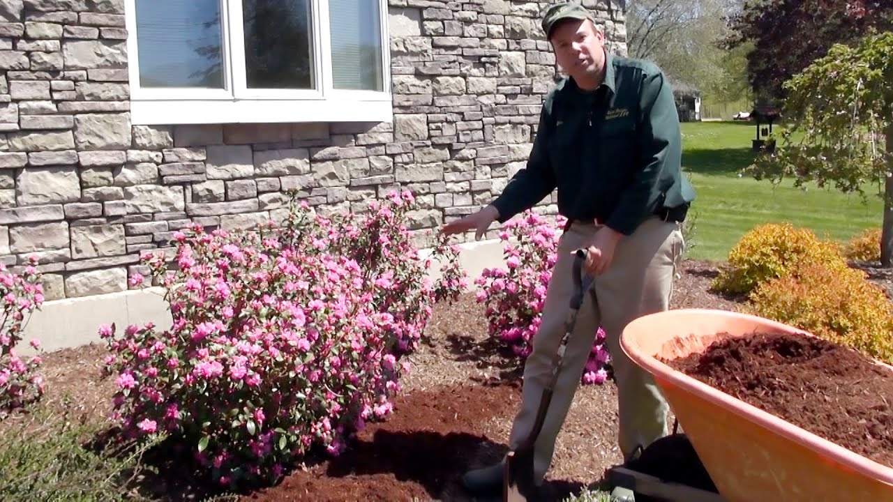 The Definitive How to Mulch Video