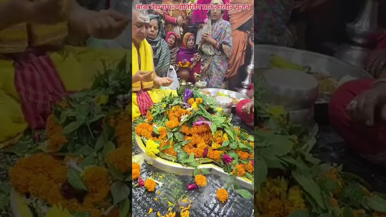 🌺🌿⚘️ बाबा वैद्यनाथ ज्योतिर्लिंग प्रातःकालीन पूजन 🌺🌿⚘️ 28/12/25 #deoghar #babadham #bholenath #viral 