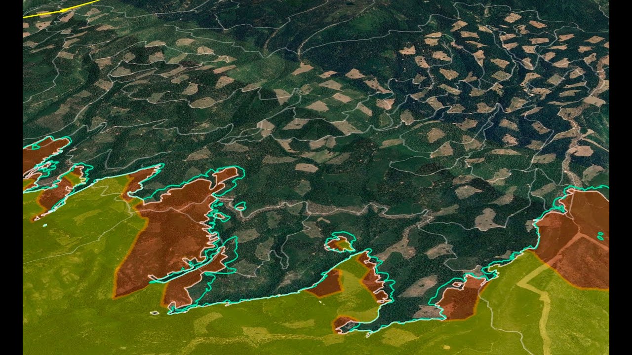 Direct vs Indirect Firefighting? - Park Fire Update - 7/31/24