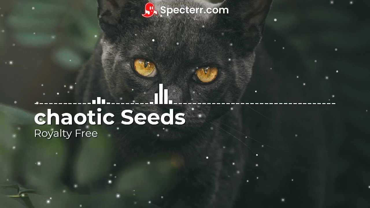 Royalty Free - Modern Cinematic soundtrack [Chaotic Seeds]