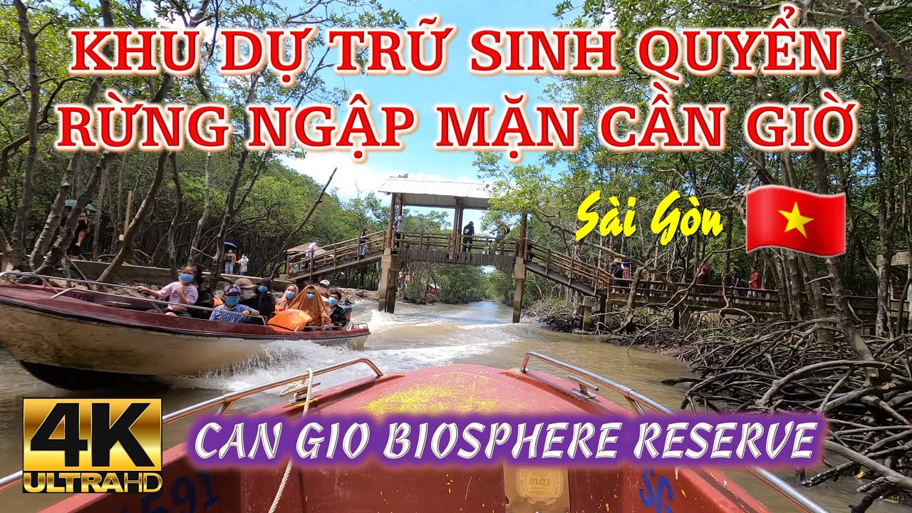 Việt Nam | Sài Gòn: Khu dự trữ sinh quyển rừng ngập mặn Cần Giờ