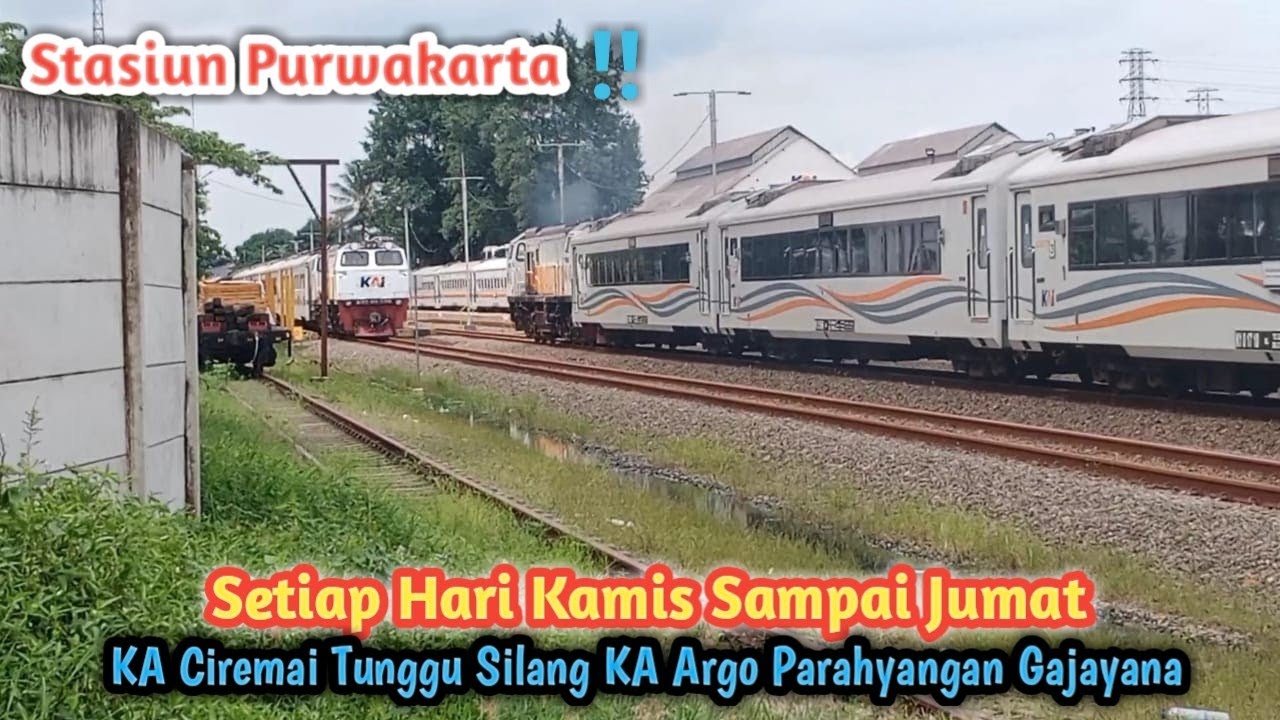 STASIUN PURWAKARTA ‼️ KERETA API CIREMAI MENUNGGU SILANG KA ARGO PARAHYANGAN RASA KA GAJAYANA
