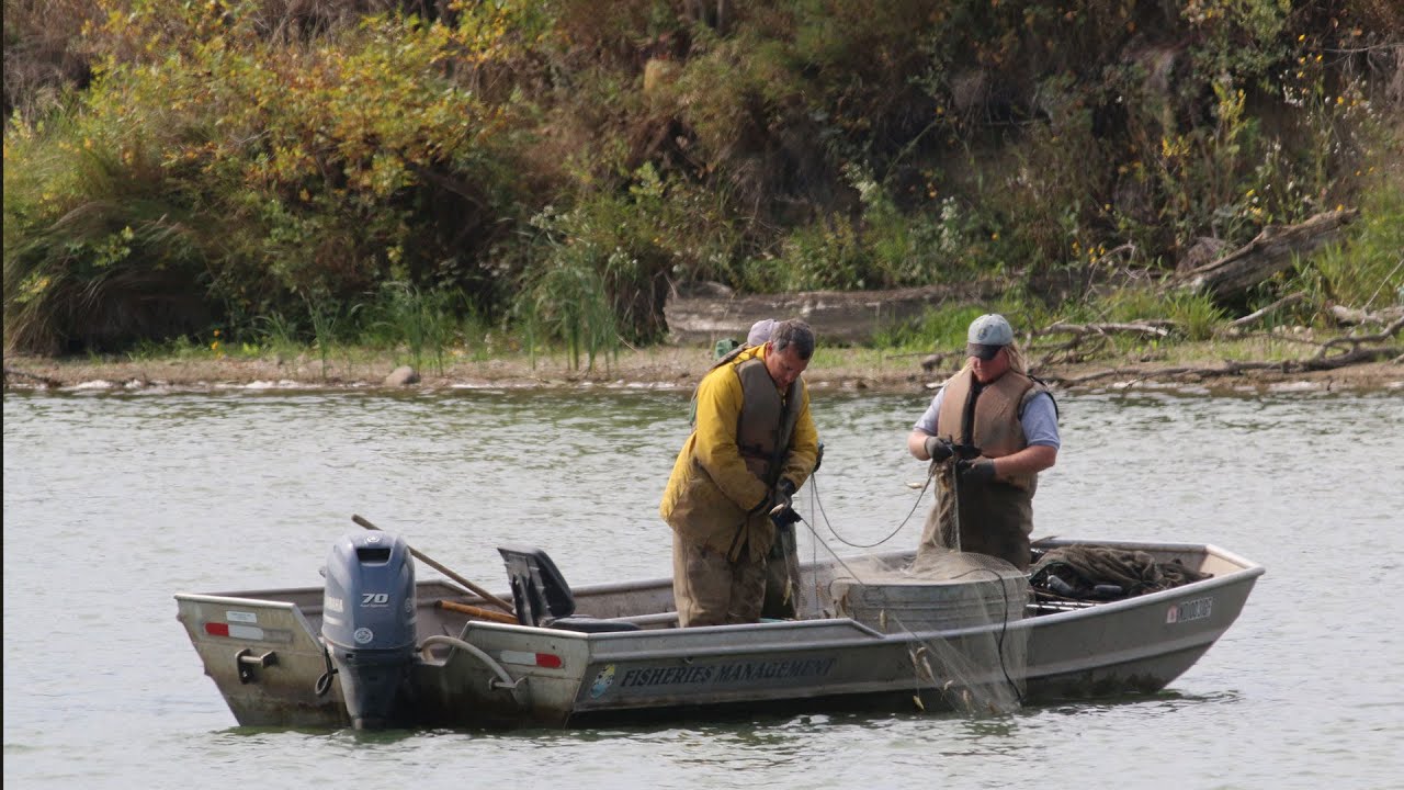 Fall Fish Reproduction Survey - NDGNF