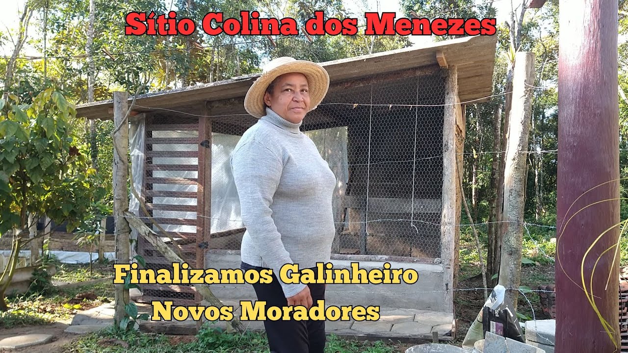 Sitio Colina dos Menezes - Finalizamos o galinheiro/ Será que ja temos novos moradores no sitio?