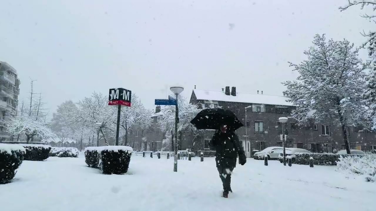Amazing Sight Heavy Snow in Amsterdam - Winter of 2026 