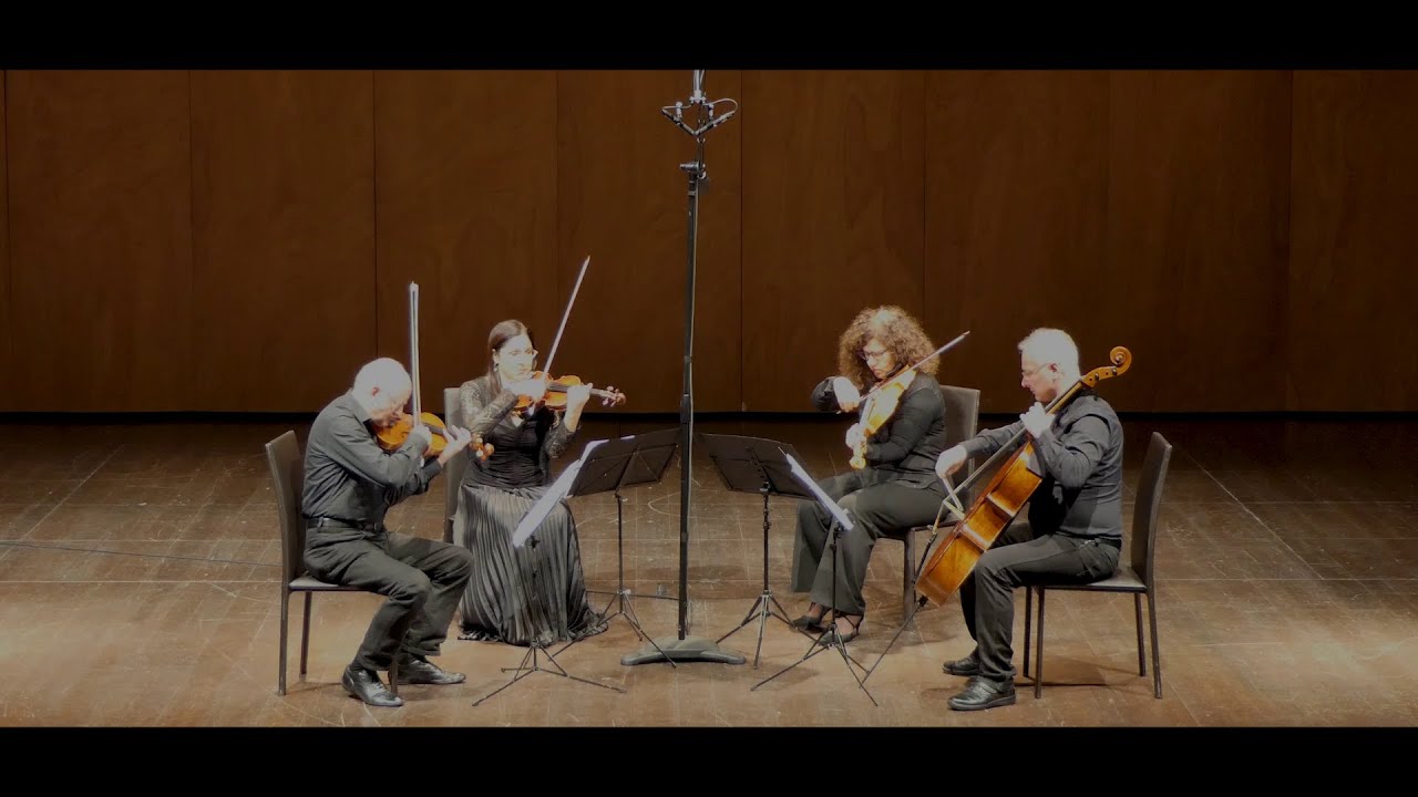 Inno alla gioia (inno Europeo Sinfonia N 9 di L.v. Beethoven) - arr. di David Cerquetti