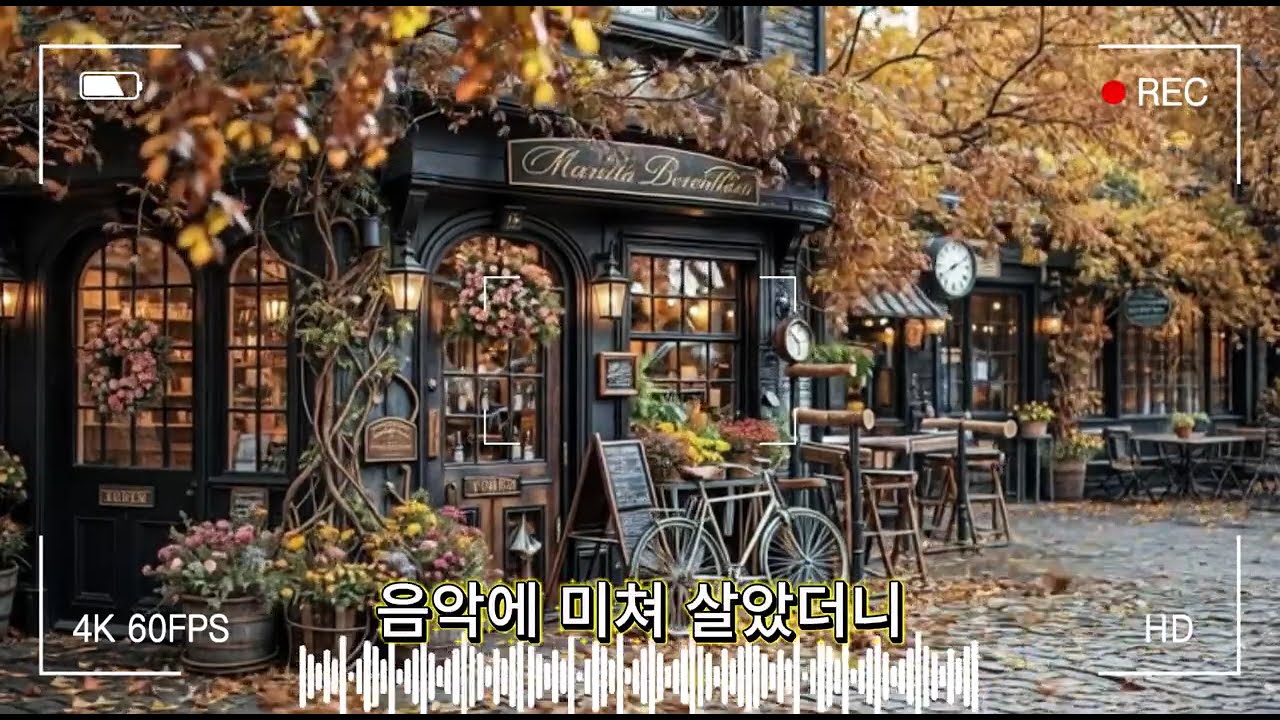 에일리 - 음악이 들려주는 사랑 이야기