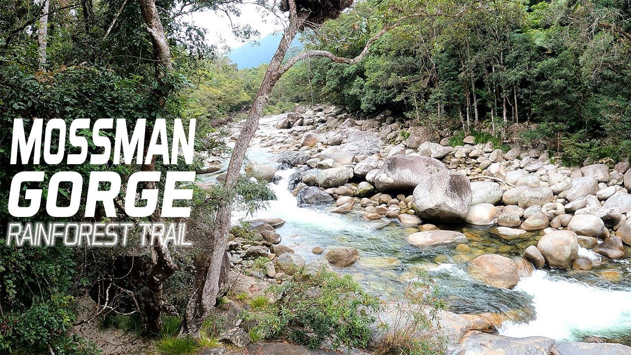 This is MOSSMAN GORGE at CAIRNS