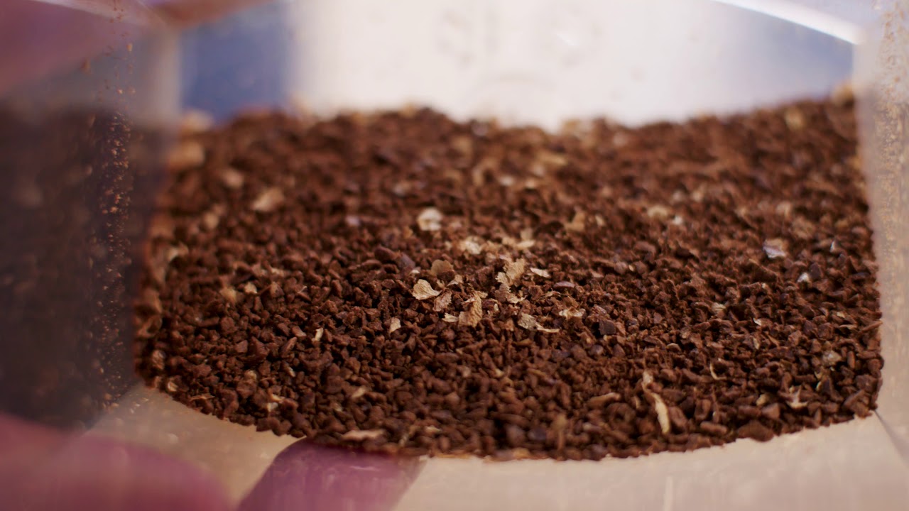 Brewing Divino Ni&ntilde;o Anaerobic Process from ReAnimator Coffee - Pour Over