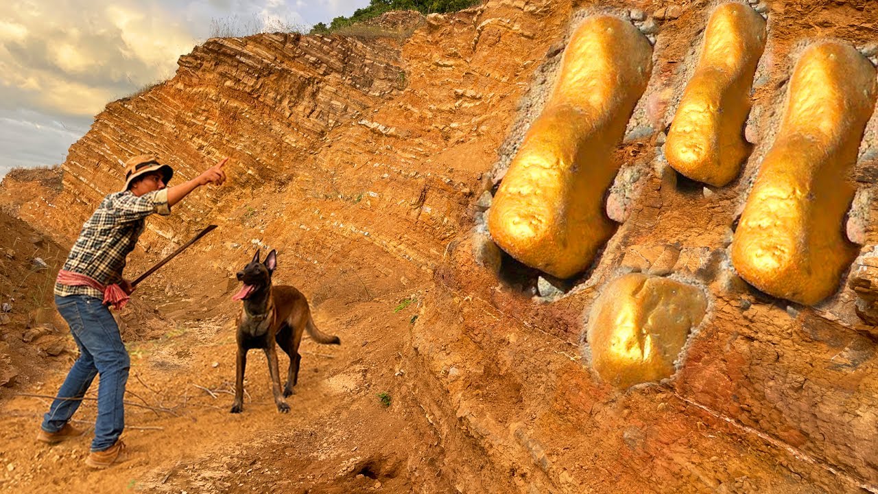 I found the treasure​ Gold on The mountain range​ , How To Mining Big Gold at Red Mountain