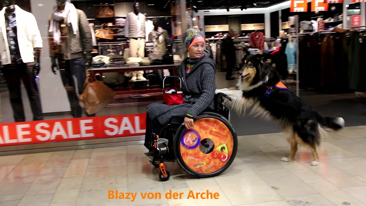 Entstehung von filiz-rollidogs. e.V. (2011) - Teil 1❣️