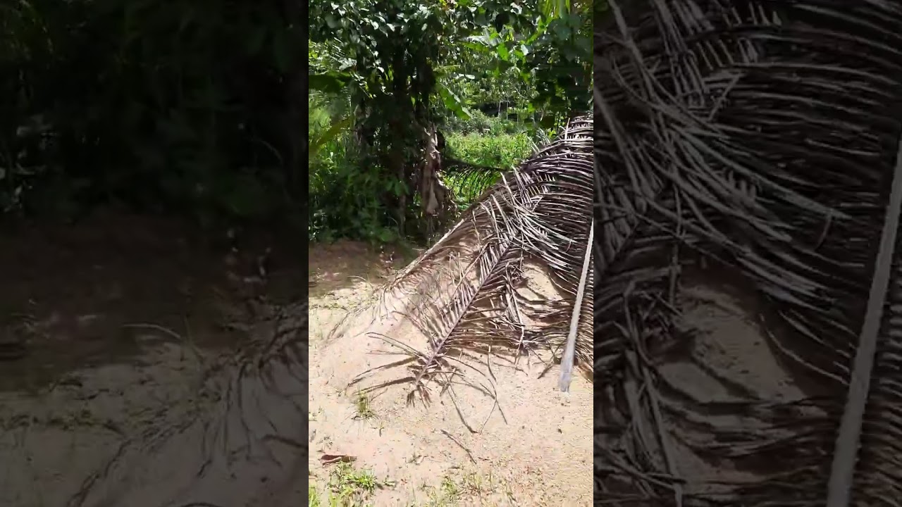 ප 10 නිවසක් වදුරඹ ලක්ෂ 19/0773869052