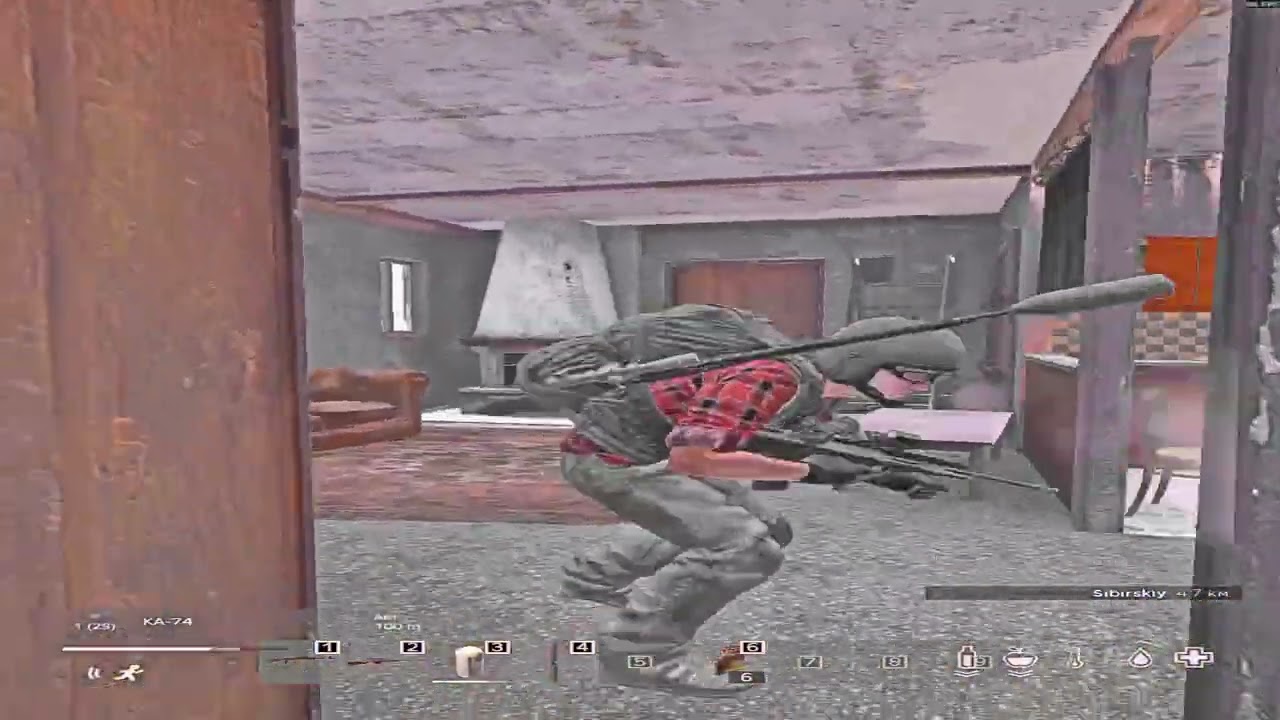 🌚#dayz #fragmovie #hinex