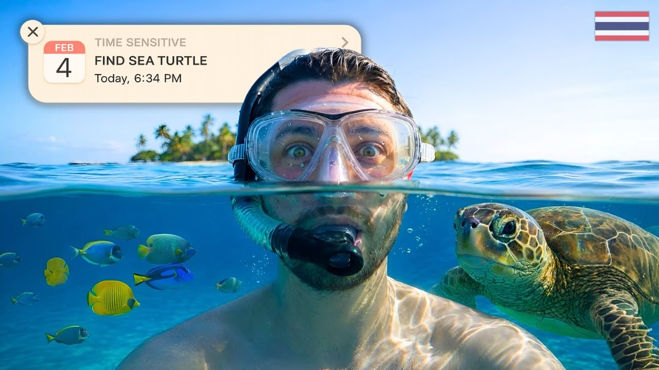 Hunting For Sea Turtles To Swim With!