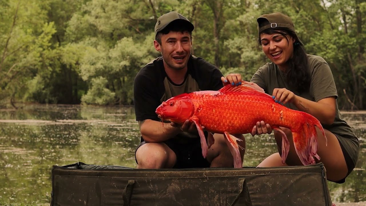 CARPFISHING FRANCIA 2022