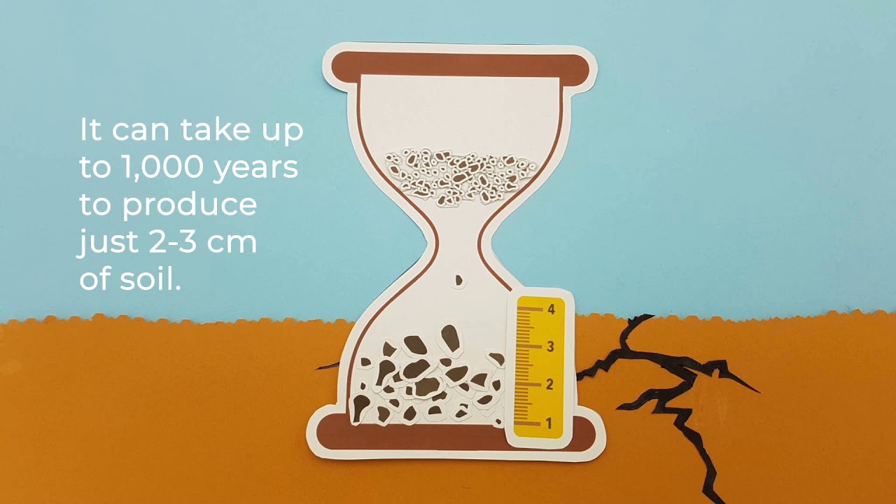 Stop soil erosion, keep soil where it belongs!