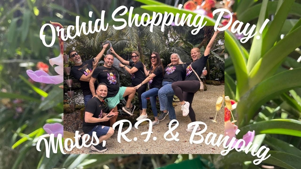 Приключение за орхидеями! День открытых дверей в Motes, экскурсия по питомнику R.F. Orchids и Ban...
