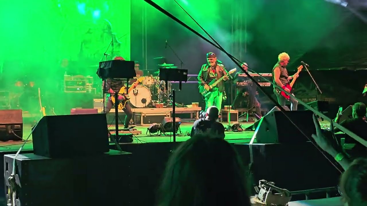 Cargo - Ziua Vrajitoarelor Live @ Wild Experience Fest, Corbu, Harghita 2025