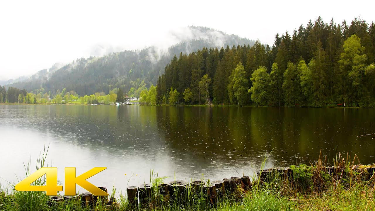 Serenity In Nature Gentle Rain by the Lake