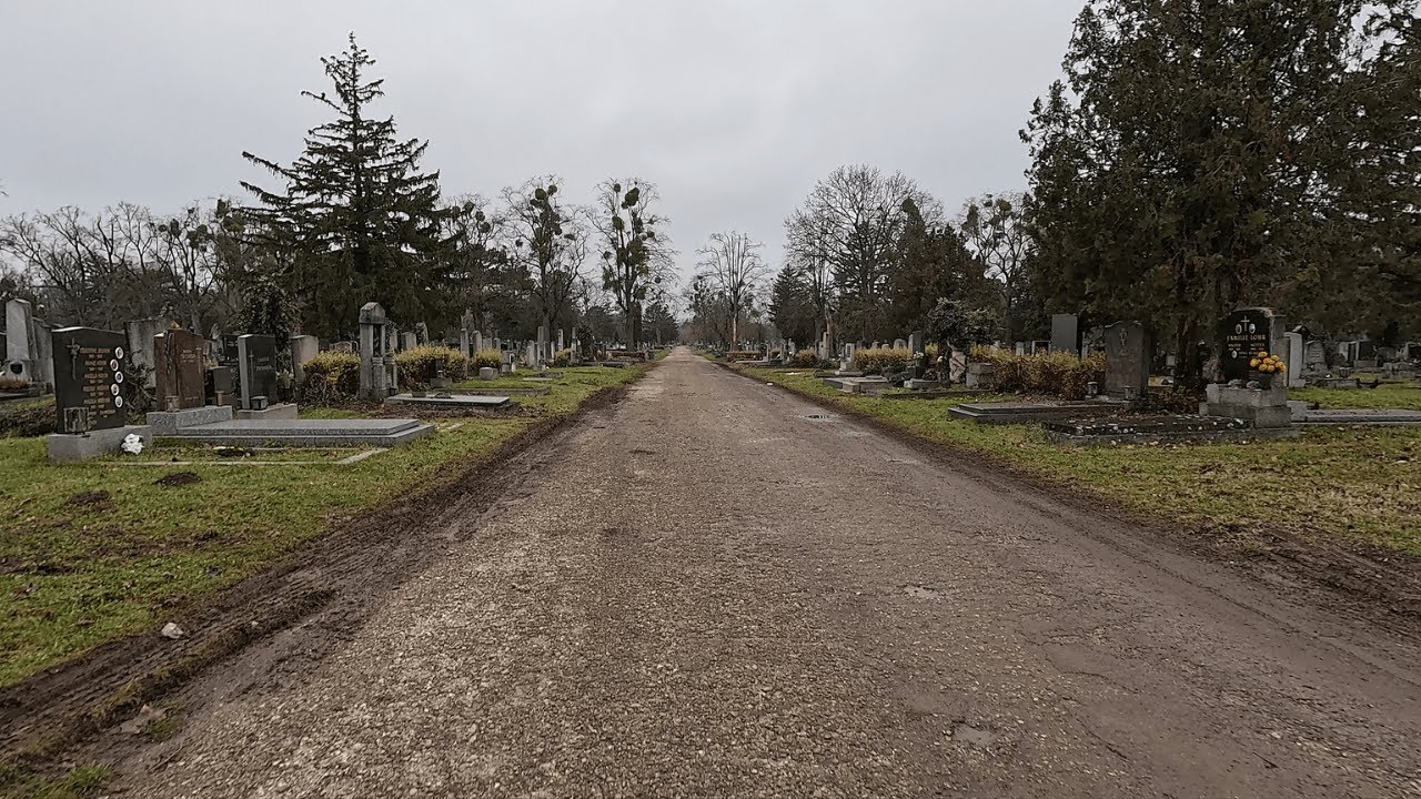 Quiet Walk in Vienna 🌿 Central Cemetery | Nature ASMR (No Talking)