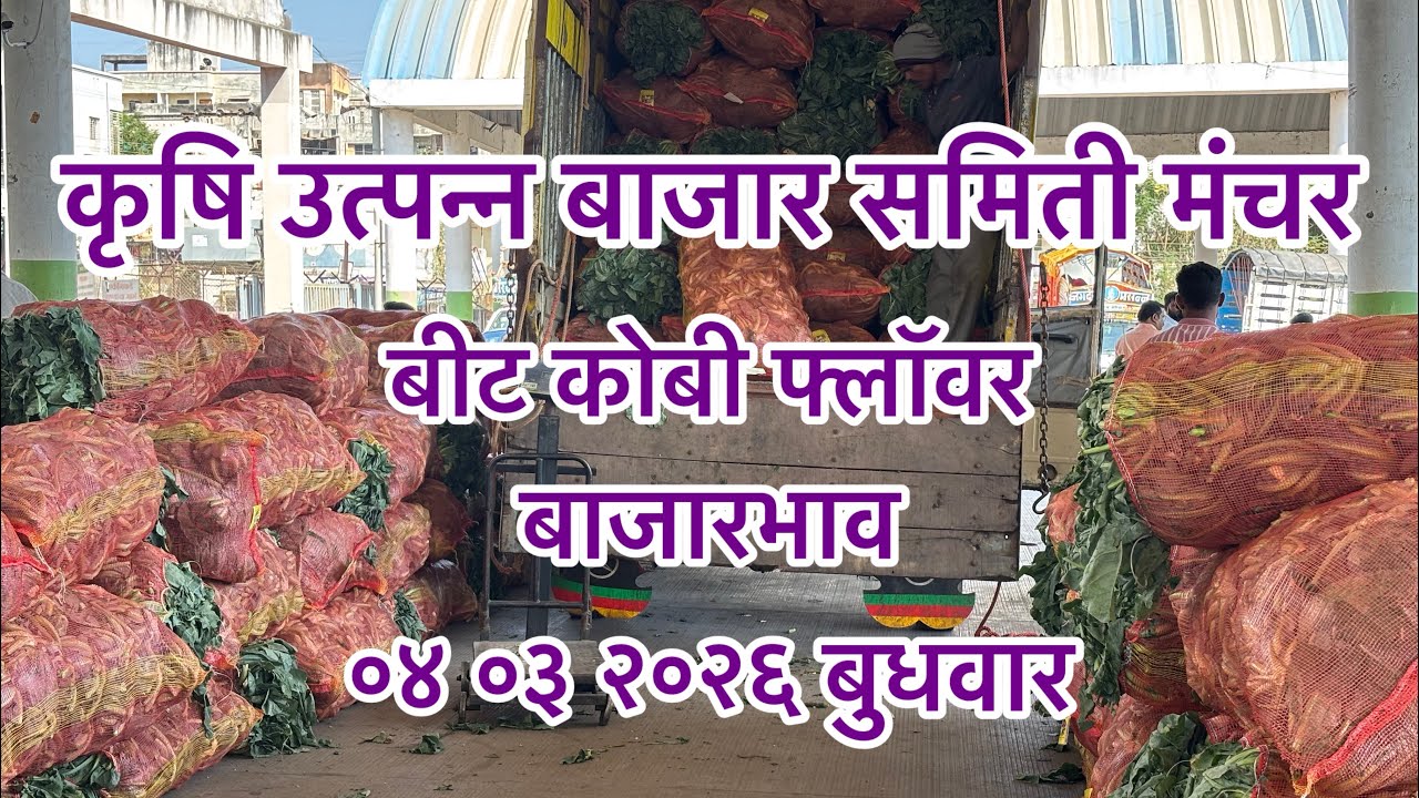 ०४ ०३ २०२६ बाजारभाव बीट कोबी फ्लॉवर...