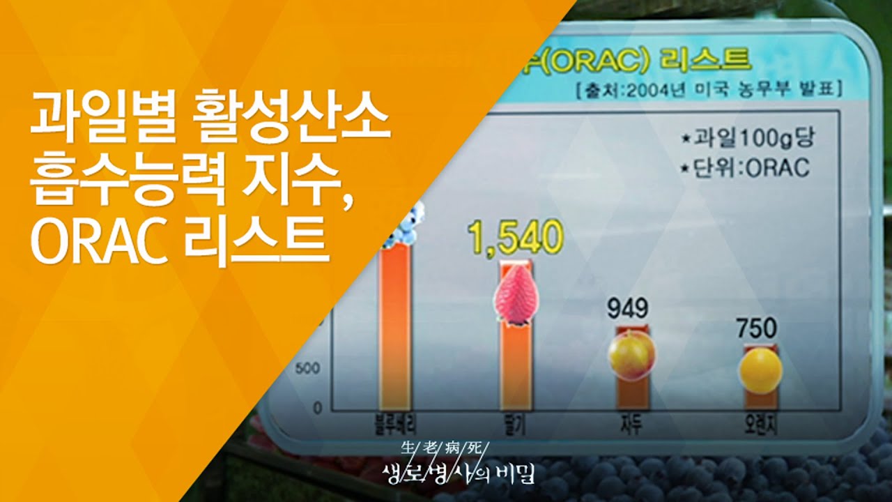 과일별 활성산소 흡수능력 지수, ORAC 리스트 - (2010.8.26_341회 방송)_몸의 전쟁 제3편, 약이 되는 음식, 독이 되는 음식