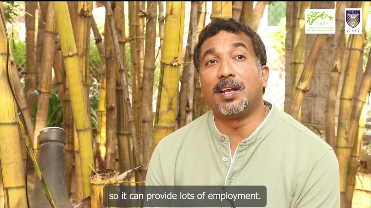 1 Introduction about bamboo Bengali