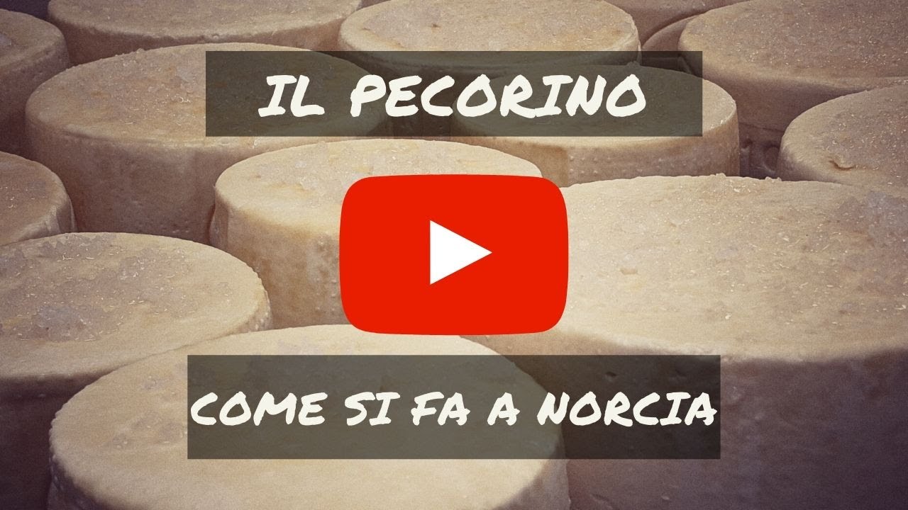Come si fa il formaggio pecorino a Norcia