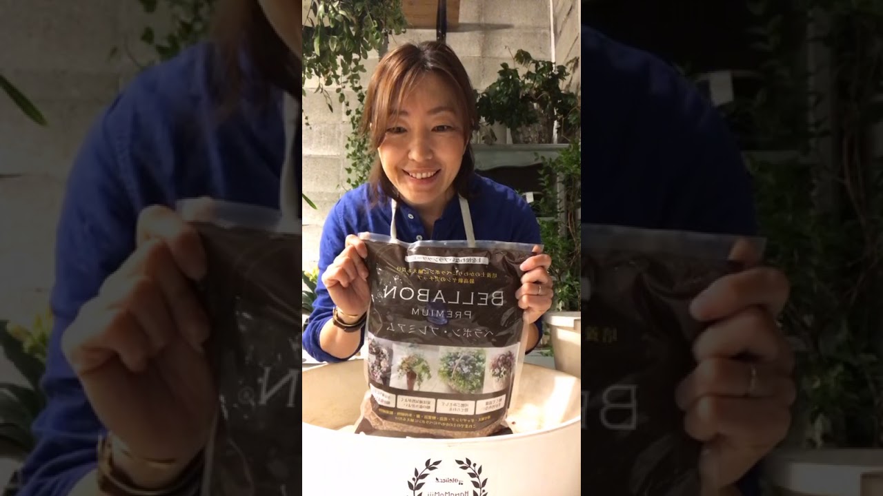 ベラボン　ガラス植え　2020.4.6 インスタライブ配信