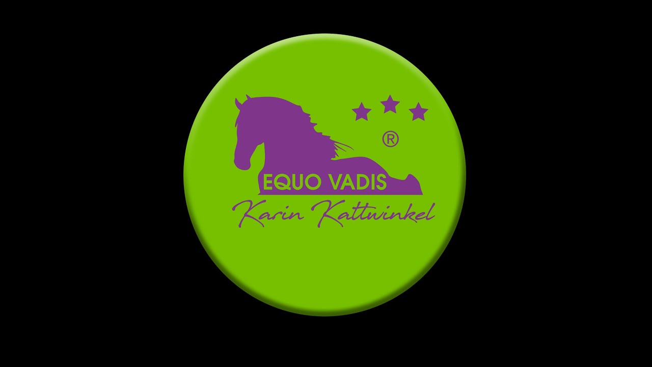 Schnupperwochenende | Ausbildung zum Pferdeexperten | Karin Kattwinkel