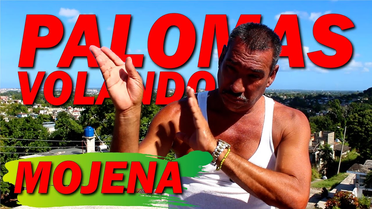 PALOMAS de MOJENA al AIRE