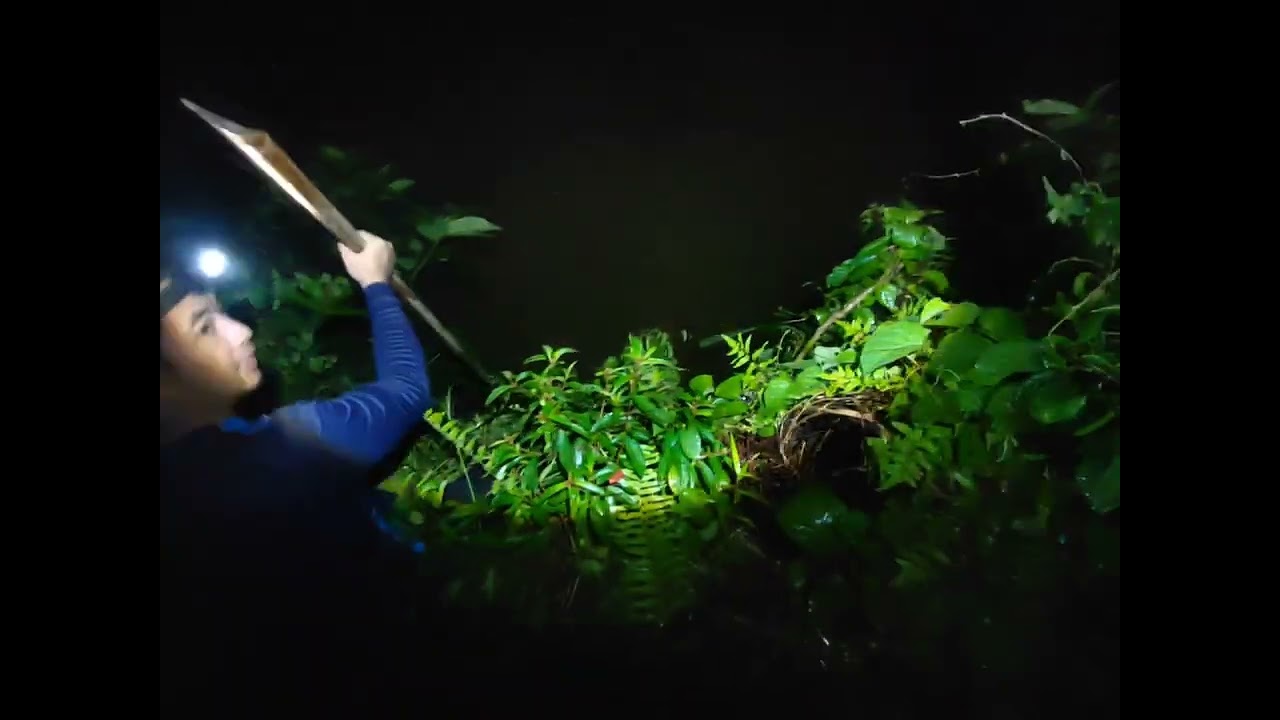 rezeki mancing semalam dapat ikan patin 4kg masak asam pedas 👌