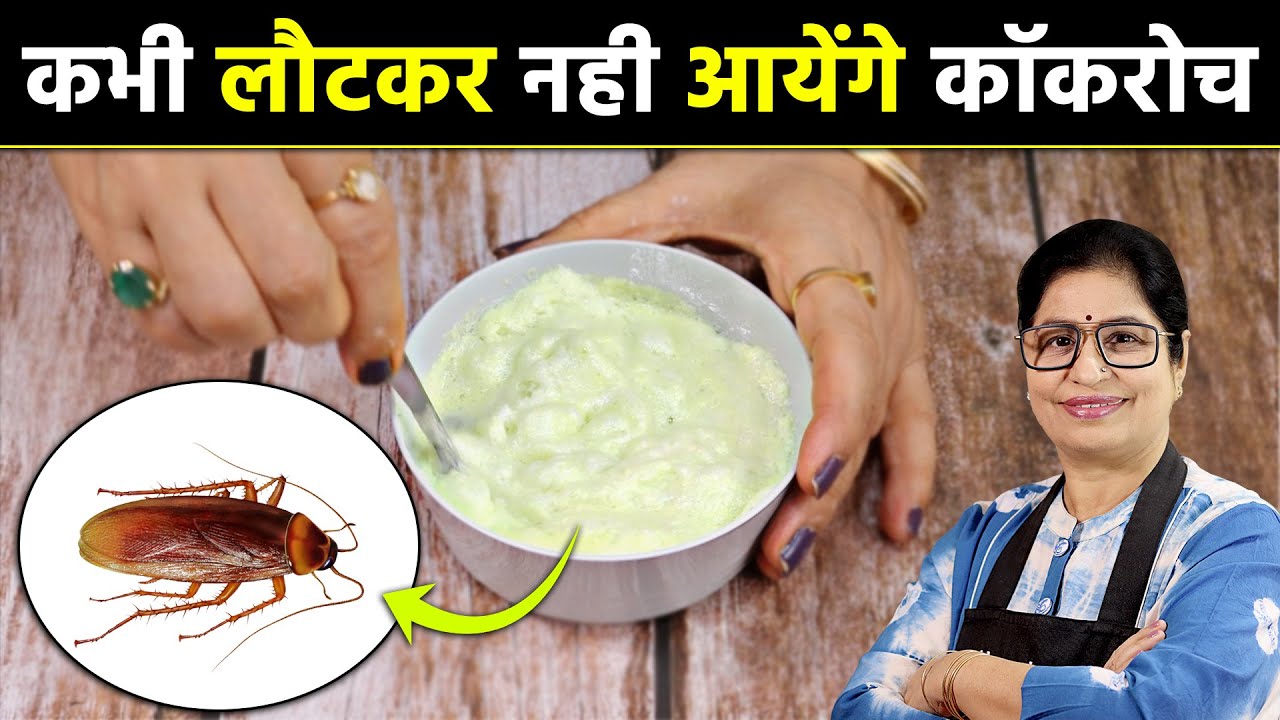 मात्र ₹10 में बनाए कॉकरोच भगाने का 100% असरदार घरेलू नुस्खा | Home Remedy To Get Rid Of Cockroaches
