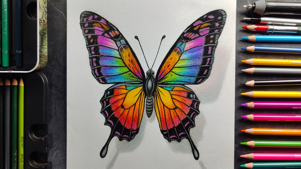 Realistic Butterfly Drawing | Colour Pencil Timelapse Art