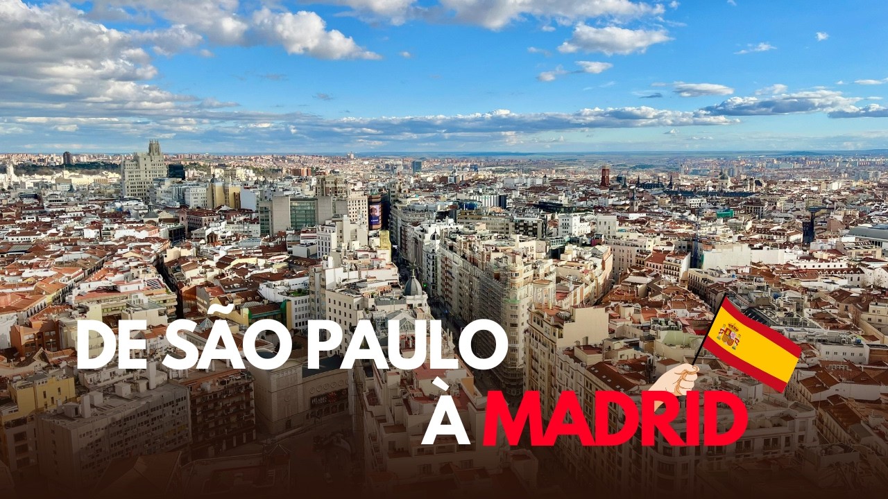 Embarcando para Madrid com cachorro | Cachorro no aeroporto