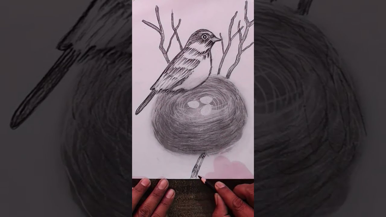 Sparrow and her Nest #sparrow world 