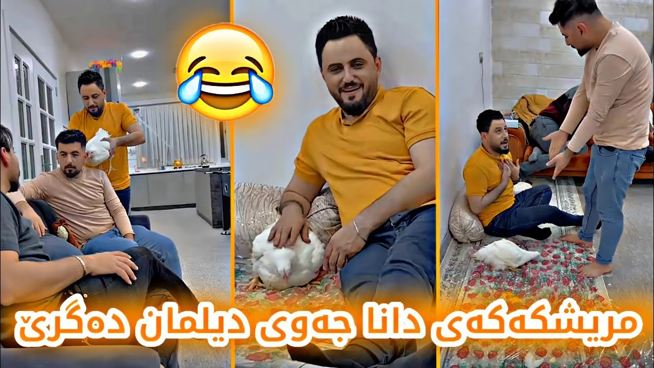 بەزمی مریشەکەی مەلا قاتیل و دیلمان😂| ئەتهێنێتە پێکەنین 😂